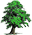 Shade Tree Web Designs